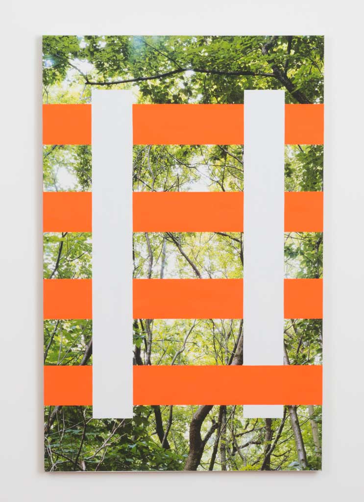 James Hyde, Climb, 2015, Acrylic dispersion on archival inkjet print on stretched linen, 43 x 68 in