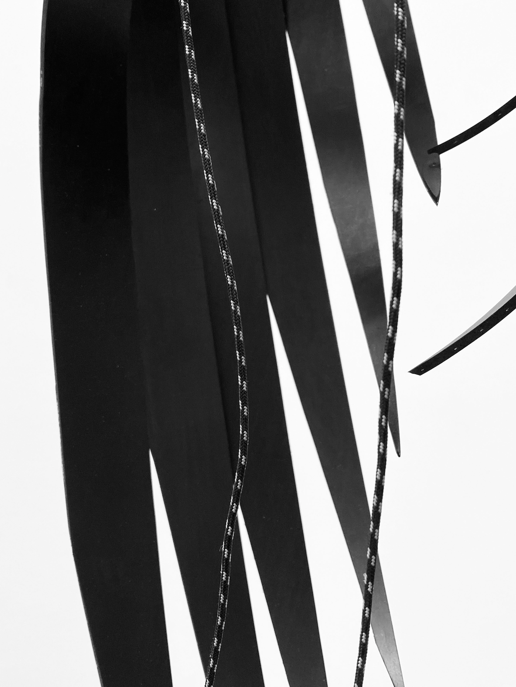 Whip Palm (Detail), 2023, natural rubber, metal hardware, sports rope, variable dimensions. 